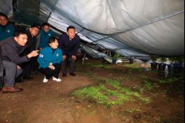 농림축산식품부, 대설 피해 현장 방문, 신속한 영농재개 위해 피해 복구 최선 당부 기사 이미지